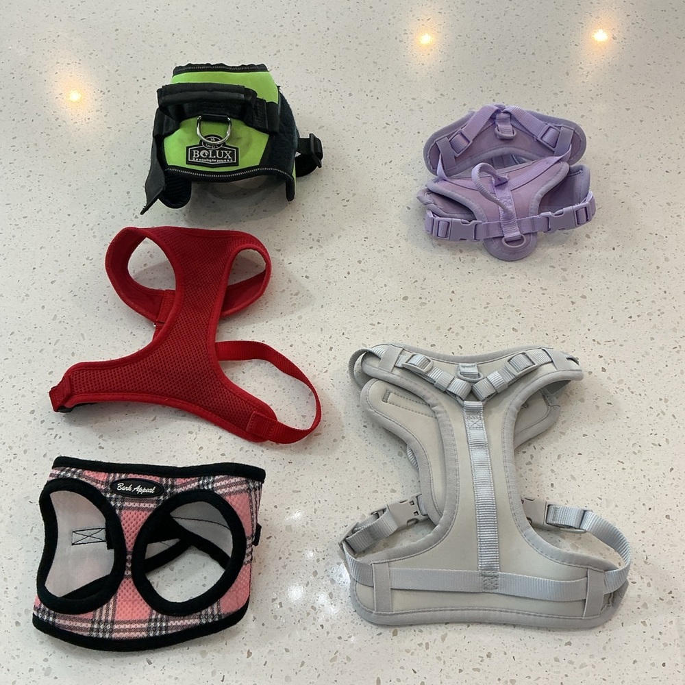 Lot (5) of Small Dog Harnesses
